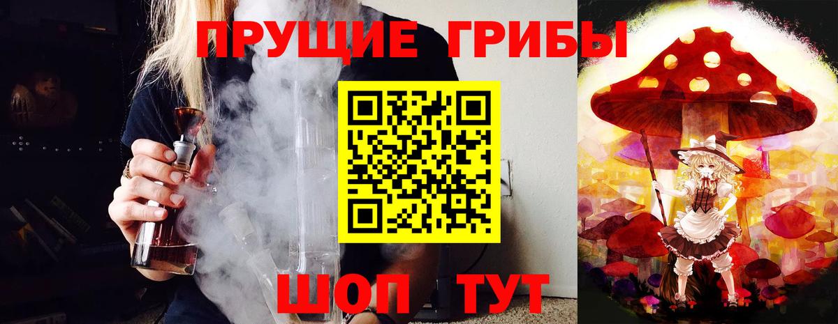 Галлюциногенные грибы мицелий Зеленогорск