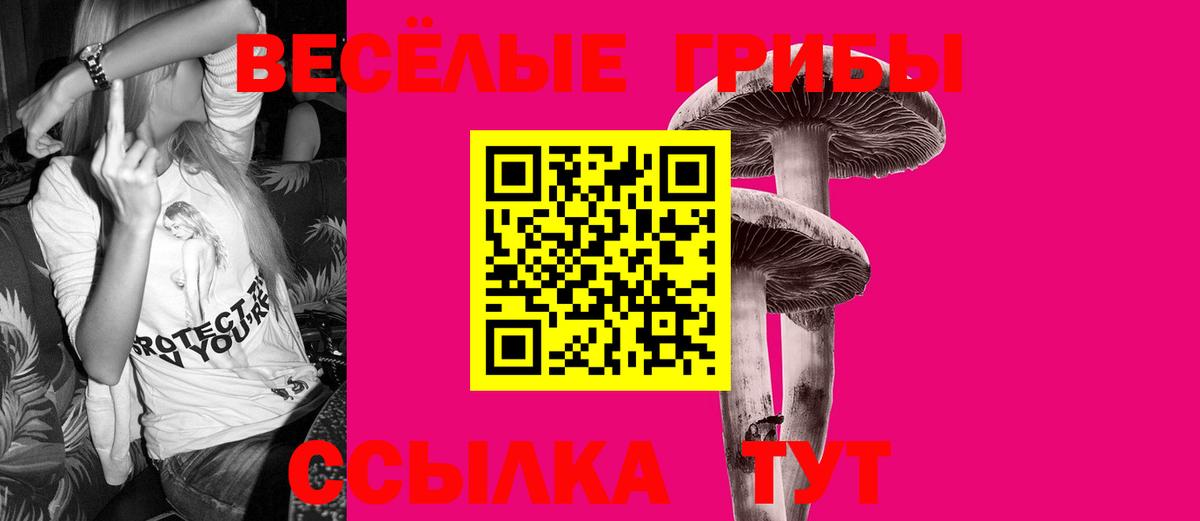 Зеленогорск  Псилоцибиновые грибы прущие грибы  Вход с VPN  наркотики  Галлюциногенные грибы Psilocybine cubensis 